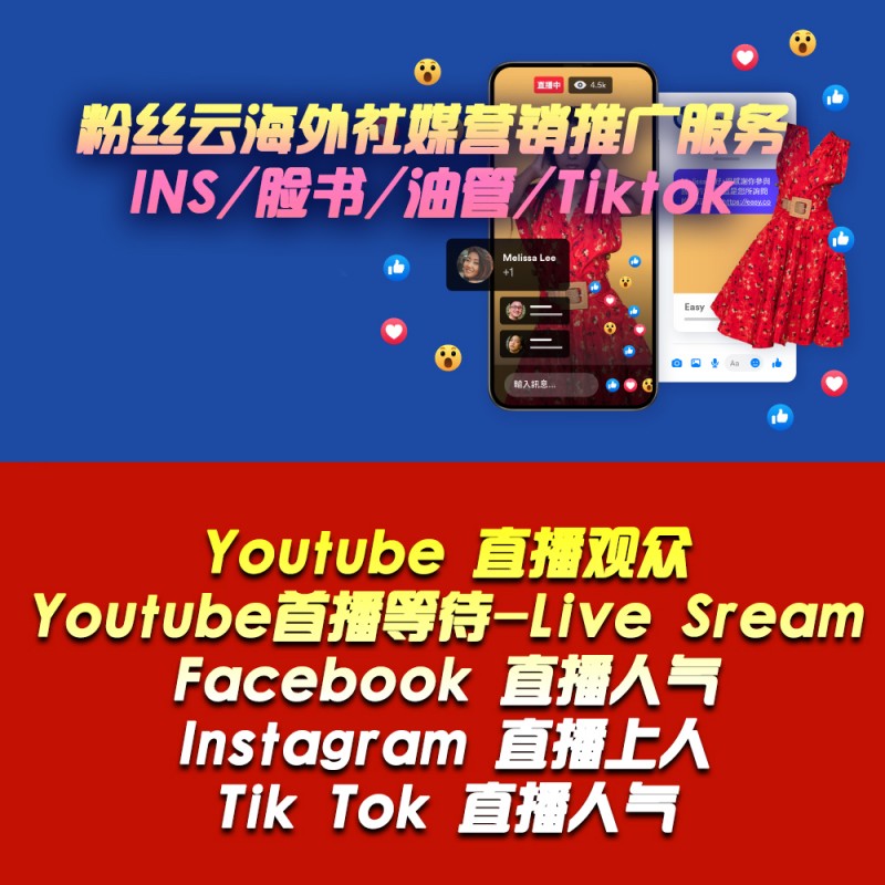 跨境电商独立站,Youtube独立站,油管独立站