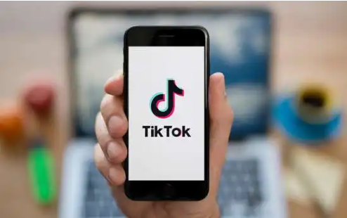 tiktok刷粉丝
