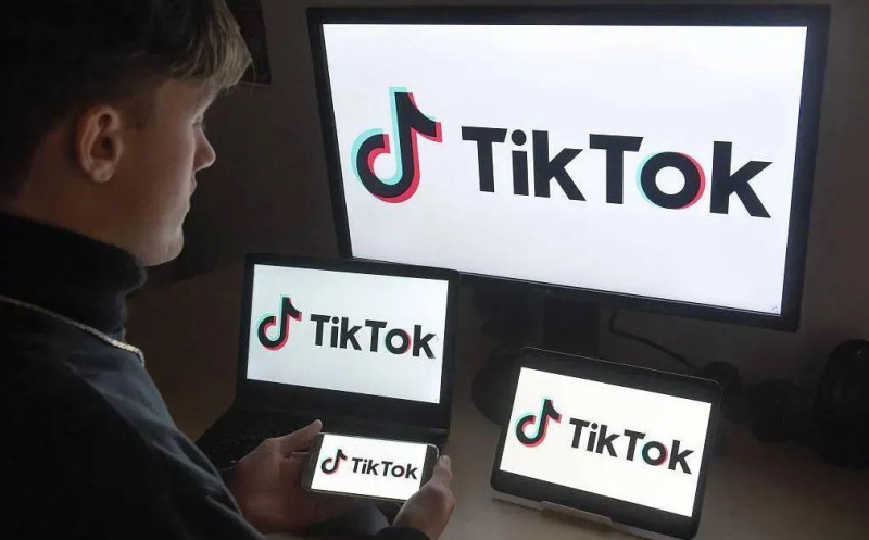 国际抖音tiktok独立站运营